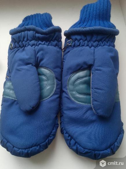 Варежки альпийские.. Фото 1.