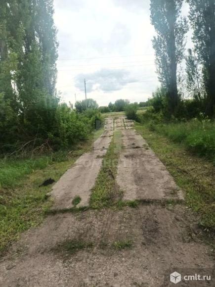 Участок 40 сот.. Фото 18.