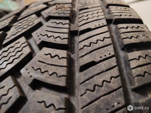 Шины. Фото 1.