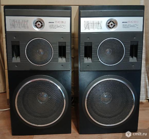 Акустическая система Вега 25ас-109-2. Фото 1.