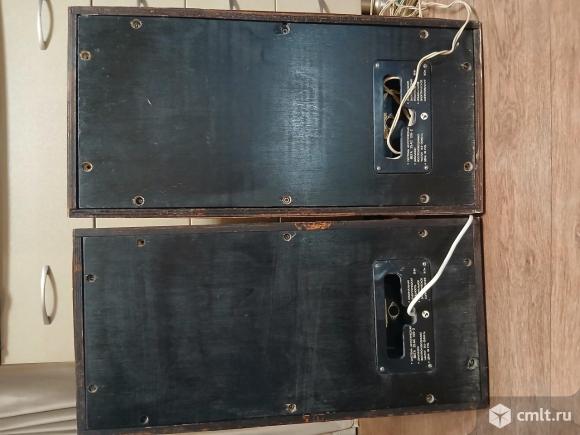 Акустическая система Вега 25ас-109-2. Фото 5.