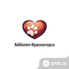 Врач визуальной диагностики. Фото 1.