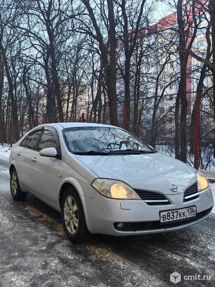 Nissan p12 - 2007 г. в.. Фото 1.