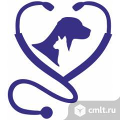 Ветеринарный врач. Фото 1.