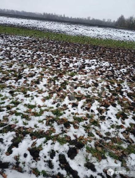 Участок 60 сот.. Фото 1.