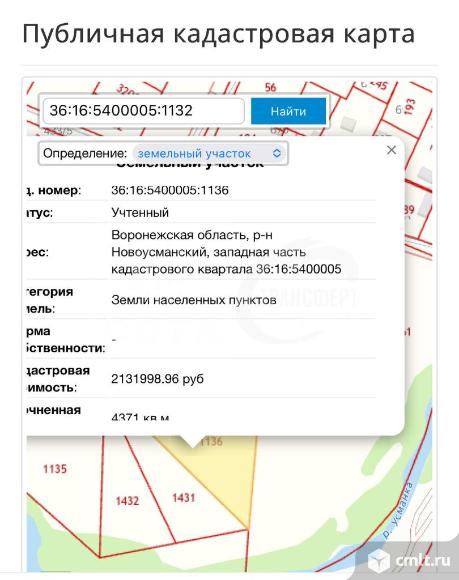 Участок 43 сот.. Фото 6.
