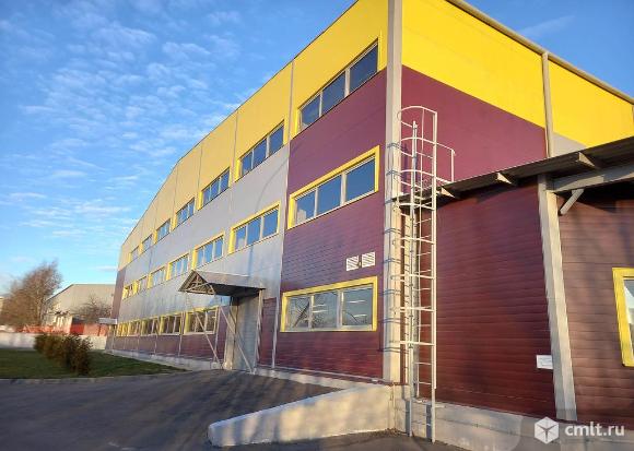 Аренда ПСН площадью 241.7 м2. Фото 5.