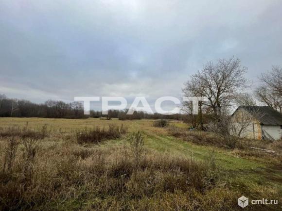 Участок 50 сот.. Фото 1.