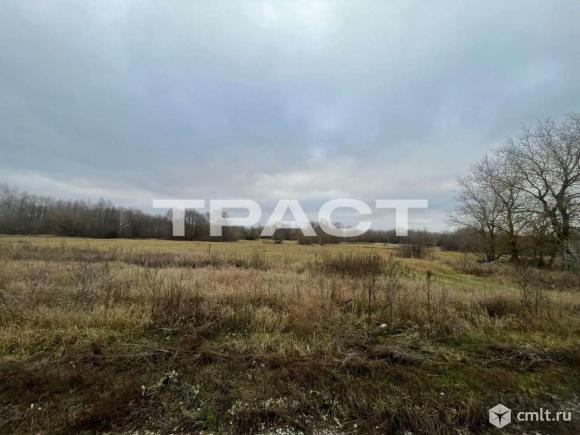 Участок 50 сот.. Фото 5.