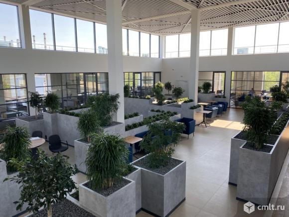 Рабочее место в коворкинге. Фото 1.