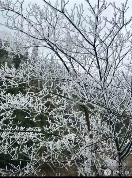 Участок 1 202 сот.. Фото 1.