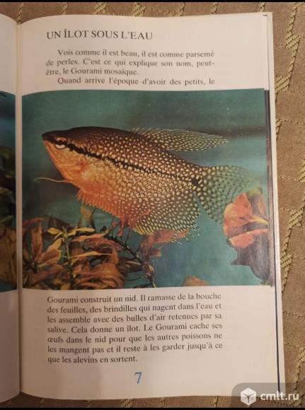 Jeux de couleurs на франц.языке. 1980 г.. Фото 2.