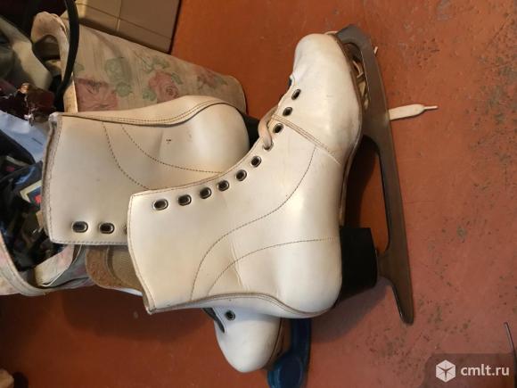 Коньки. Фото 1.