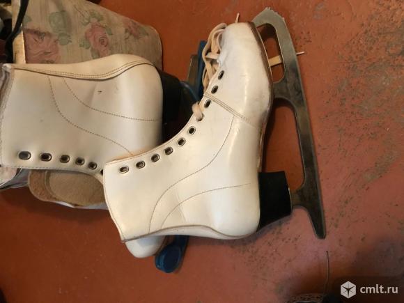 Коньки. Фото 3.