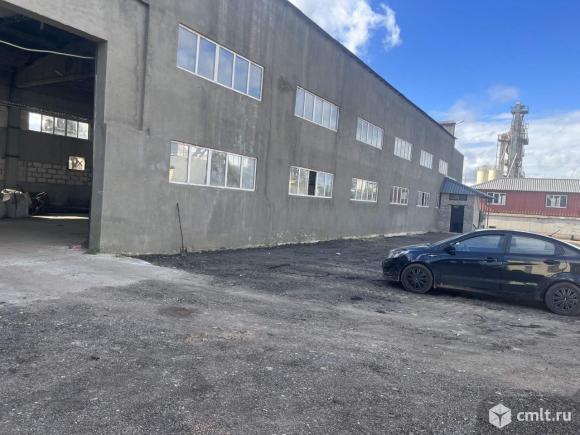 Аренда ПСН площадью 1500 м2. Фото 6.