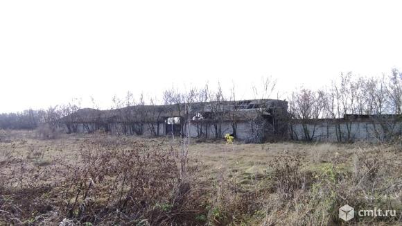 Нежилые здания  сельскохозяйственного назначения 4314,6 кв. м. Фото 1.