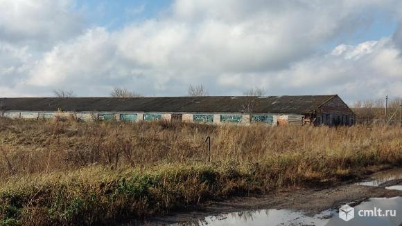 Нежилые здания  сельскохозяйственного назначения 4314,6 кв. м. Фото 17.