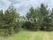 Участок 10 сот.. Фото 7.