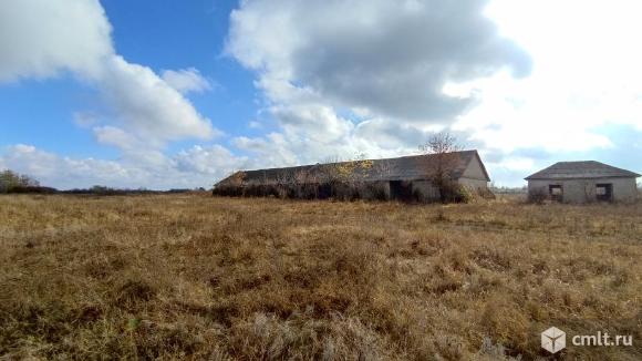 Нежилые здания производственного назначения 2026,8 кв. м. Фото 18.