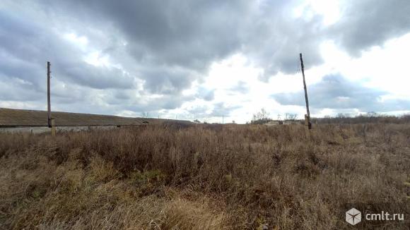 Нежилое здание 919,4 кв. м и земельный участок 30 750  кв. м.. Фото 1.