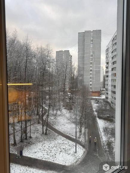 Светлая двухкомнатная с видом на лес. Фото 13.