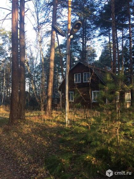 Лыжная база отдыха. Фото 14.