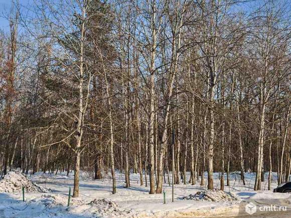 1-комнатная квартира 36 кв.м. Фото 16.