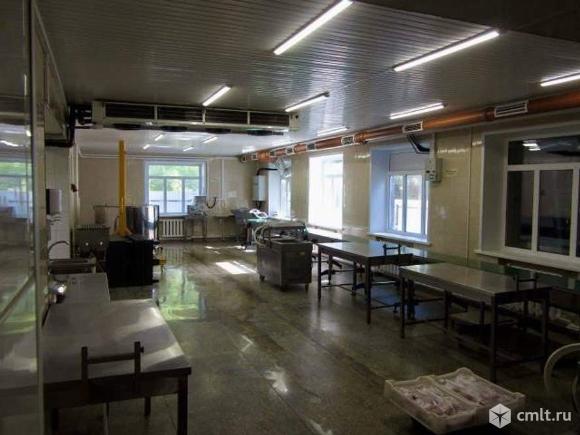 Продается ПСН 1500 м2. Фото 9.