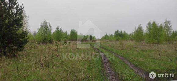 Участок 450 сот.. Фото 3.