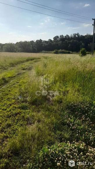 Участок 8 сот.. Фото 4.