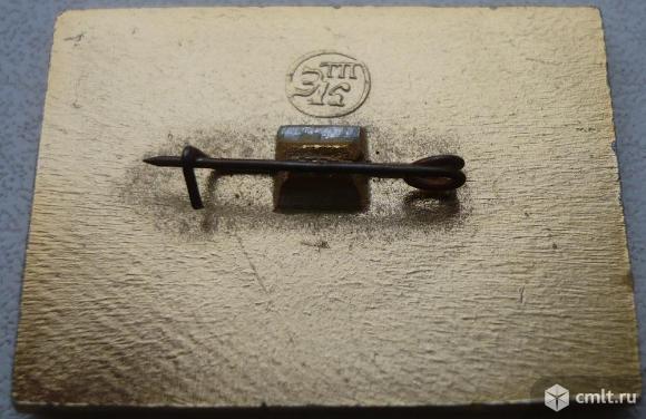 Значок "Воронежский государственный заповедник", бобер (бобр), СССР.. Фото 2.