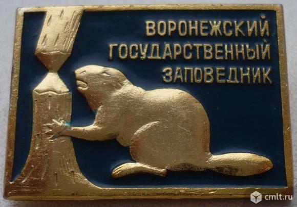 Значок "Воронежский государственный заповедник", бобер (бобр), СССР.. Фото 1.