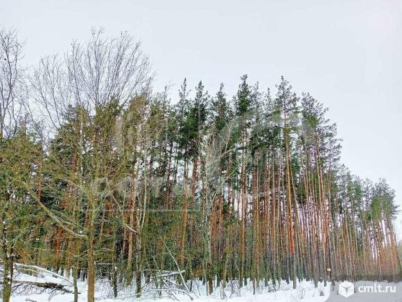 Дом 92 кв.м. Фото 13.