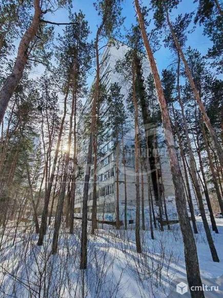 1-комнатная квартира 32,6 кв.м. Фото 1.