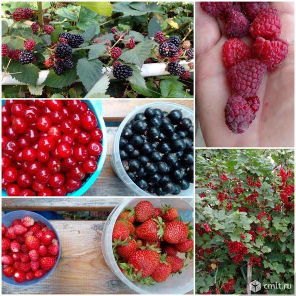 Дача 25 кв.м. Фото 18.