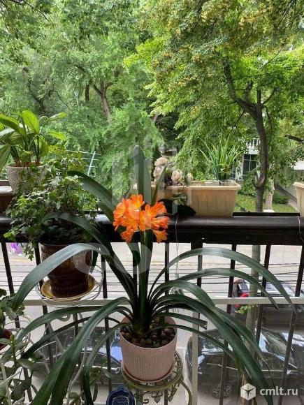 2-комнатная квартира 43 кв.м. Фото 1.