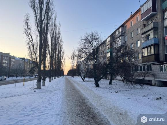 3-комнатная квартира 61,5 кв.м. Фото 1.