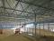 Продаю производство 24300 м2. Фото 6.