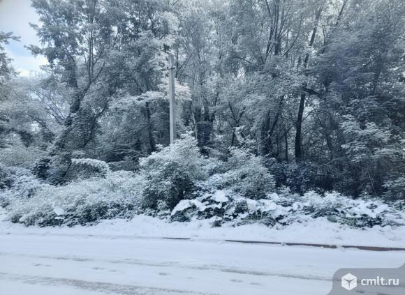 Участок 8 сот.. Фото 1.