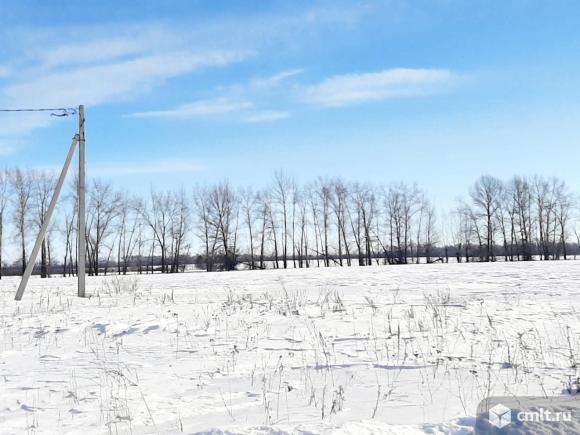 Участок 10 сот.. Фото 1.