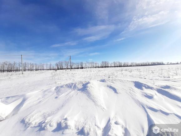 Участок 10 сот.. Фото 8.