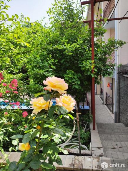 Горничная. Фото 1.