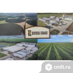 Механик. Фото 1.