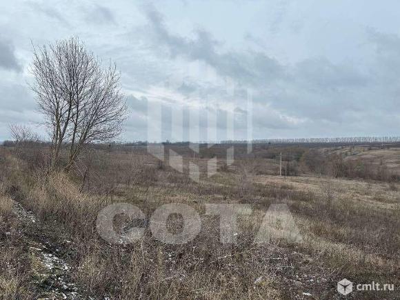 Участок 66 669 сот.. Фото 10.