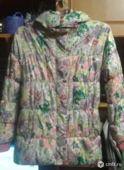 Демисезонная одежда. Фото 1.