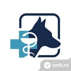 Ветеринарный врач. Фото 1.