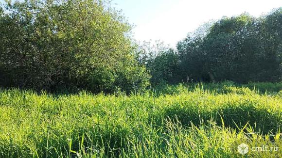 Участок 5,96 сот.. Фото 1.