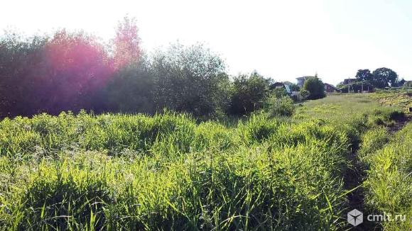 Участок 5,96 сот.. Фото 4.