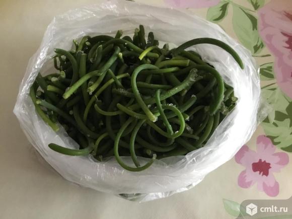 Стрелки чеснока. Фото 1.