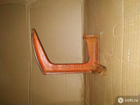 Лапа сапожная. Фото 1.